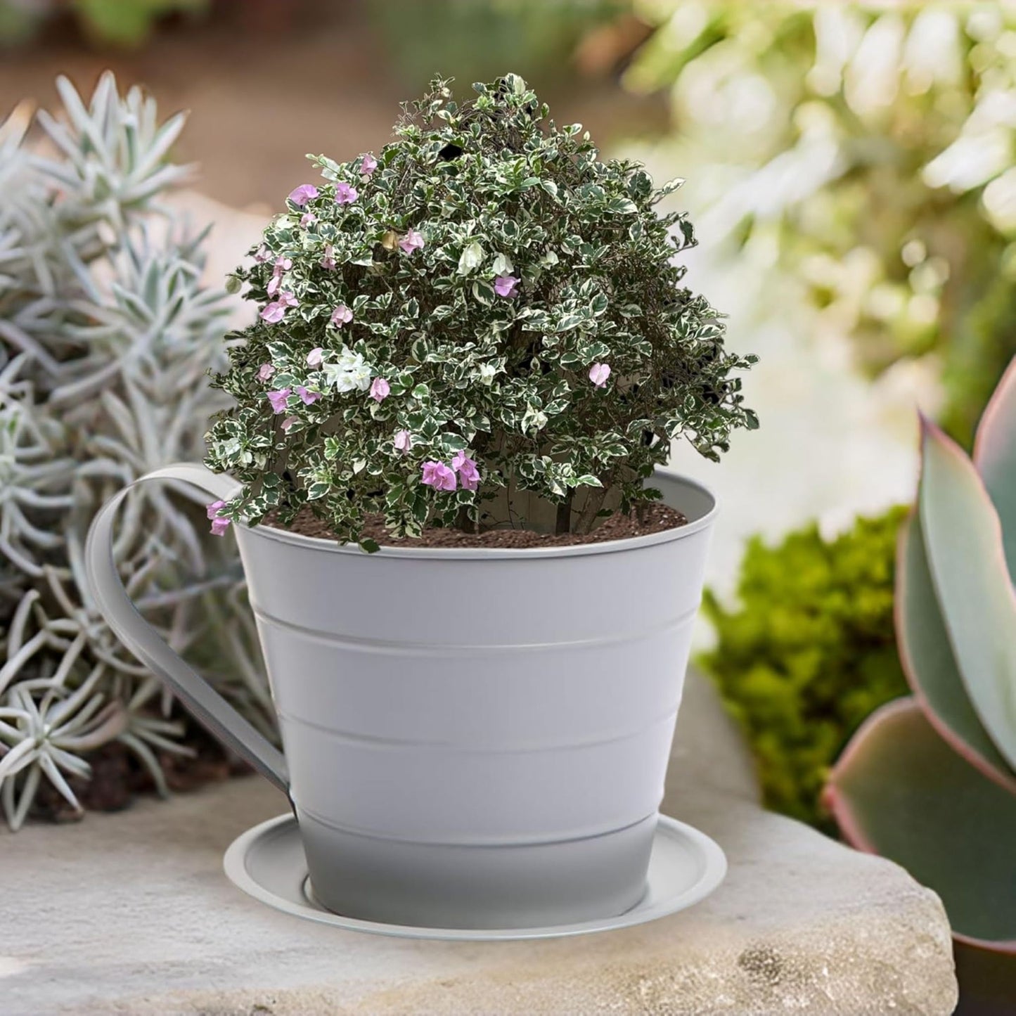 AAMEN Cup & Saucer Planter – Cute and Decorative Ceramic Pot for Tiny Plants, for Plant Lovers and Home Décor Enthusiasts, Air Plants, and Small Flowers