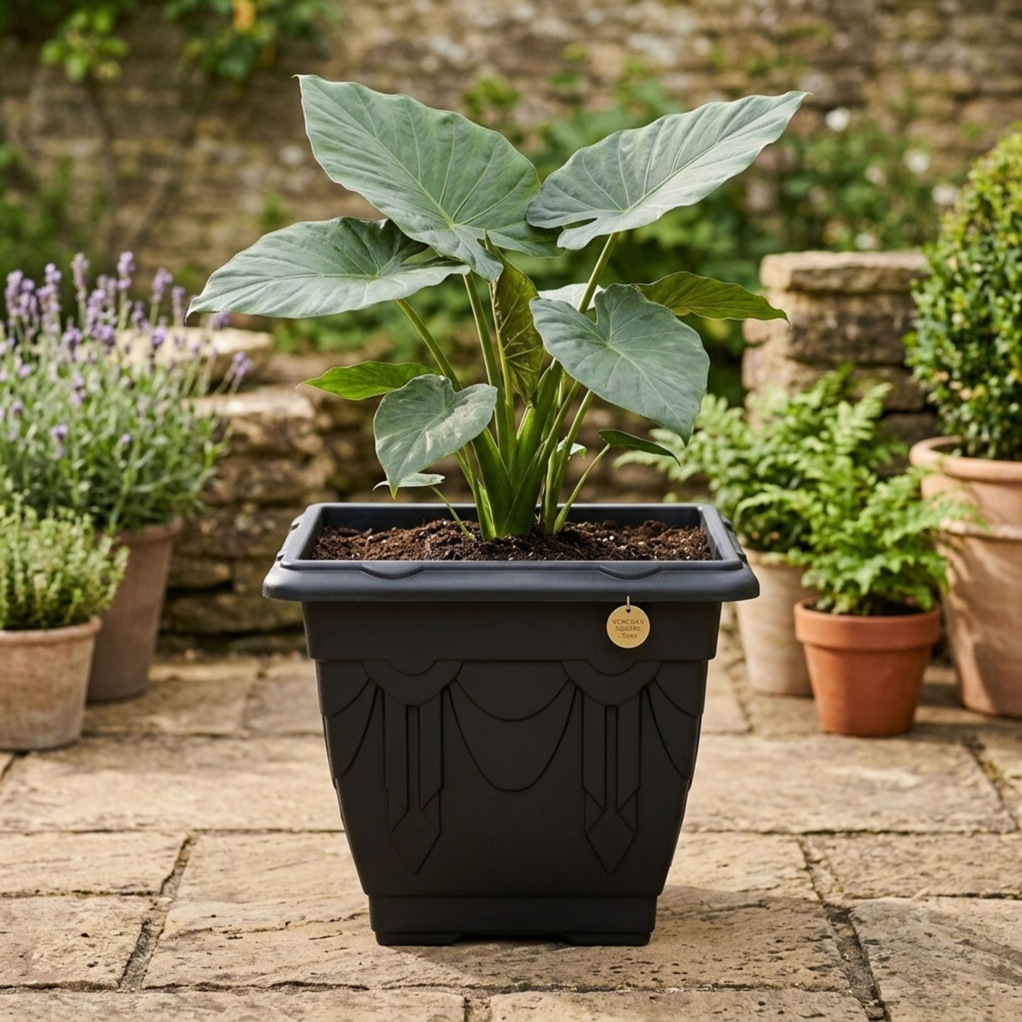 Venetian Square Planter (30cm) Lightweight Garden Pot
