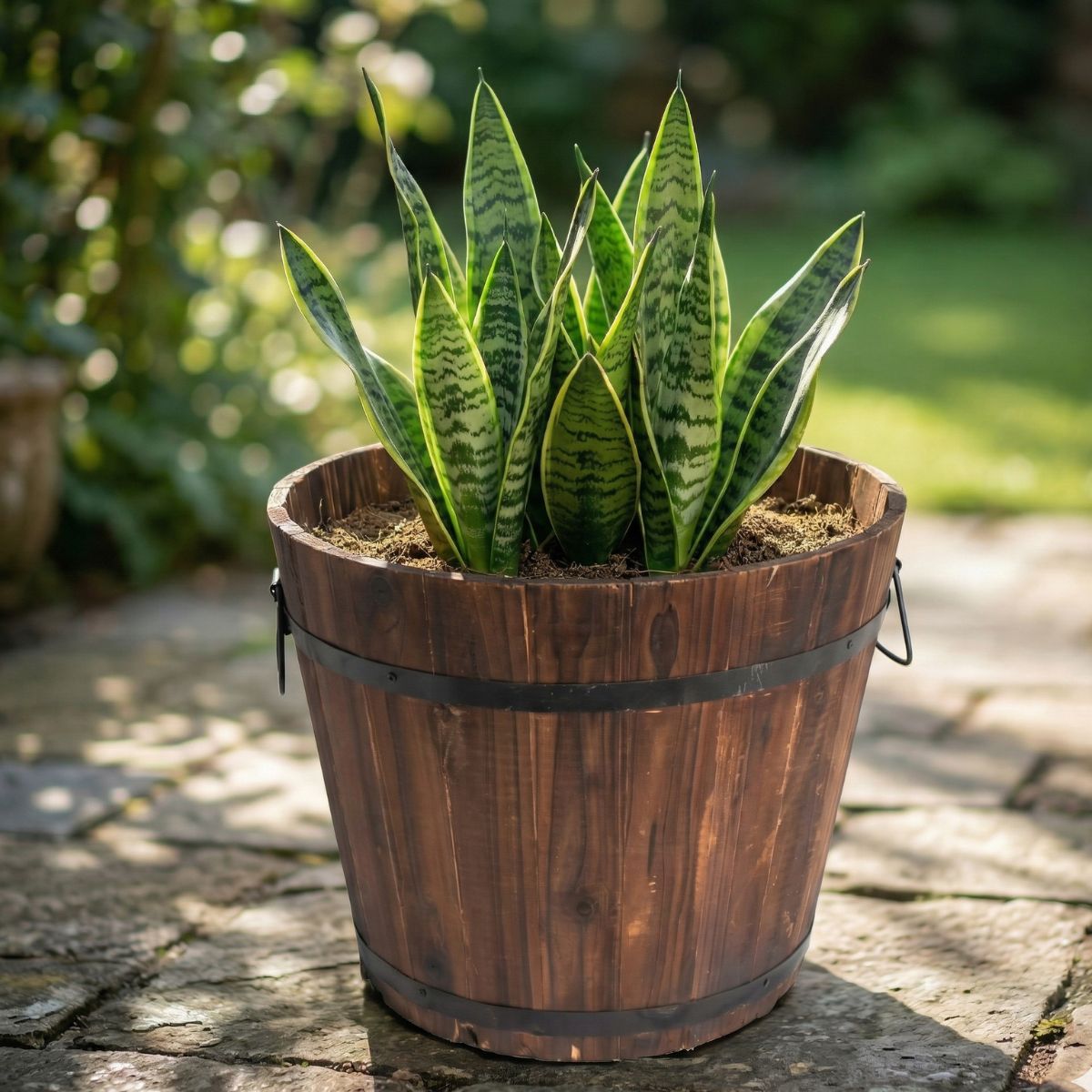 Wooden Barrel Flower Pot with Handles