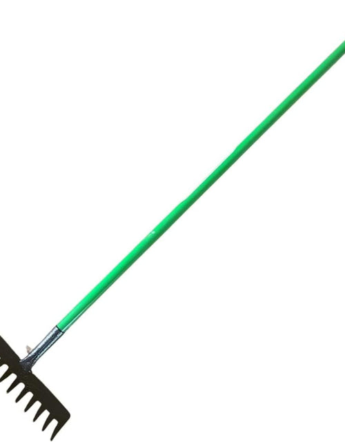Load image into Gallery viewer, AAMEN 12 Teeth Heavy Duty Garden Rake – Carbon Steel Soil &amp; Leaf Rake for Gardening (120x32x9cm, Black)
