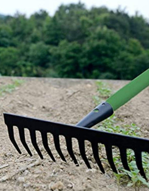 Load image into Gallery viewer, AAMEN 12 Teeth Heavy Duty Garden Rake – Carbon Steel Soil &amp; Leaf Rake for Gardening (120x32x9cm, Black)
