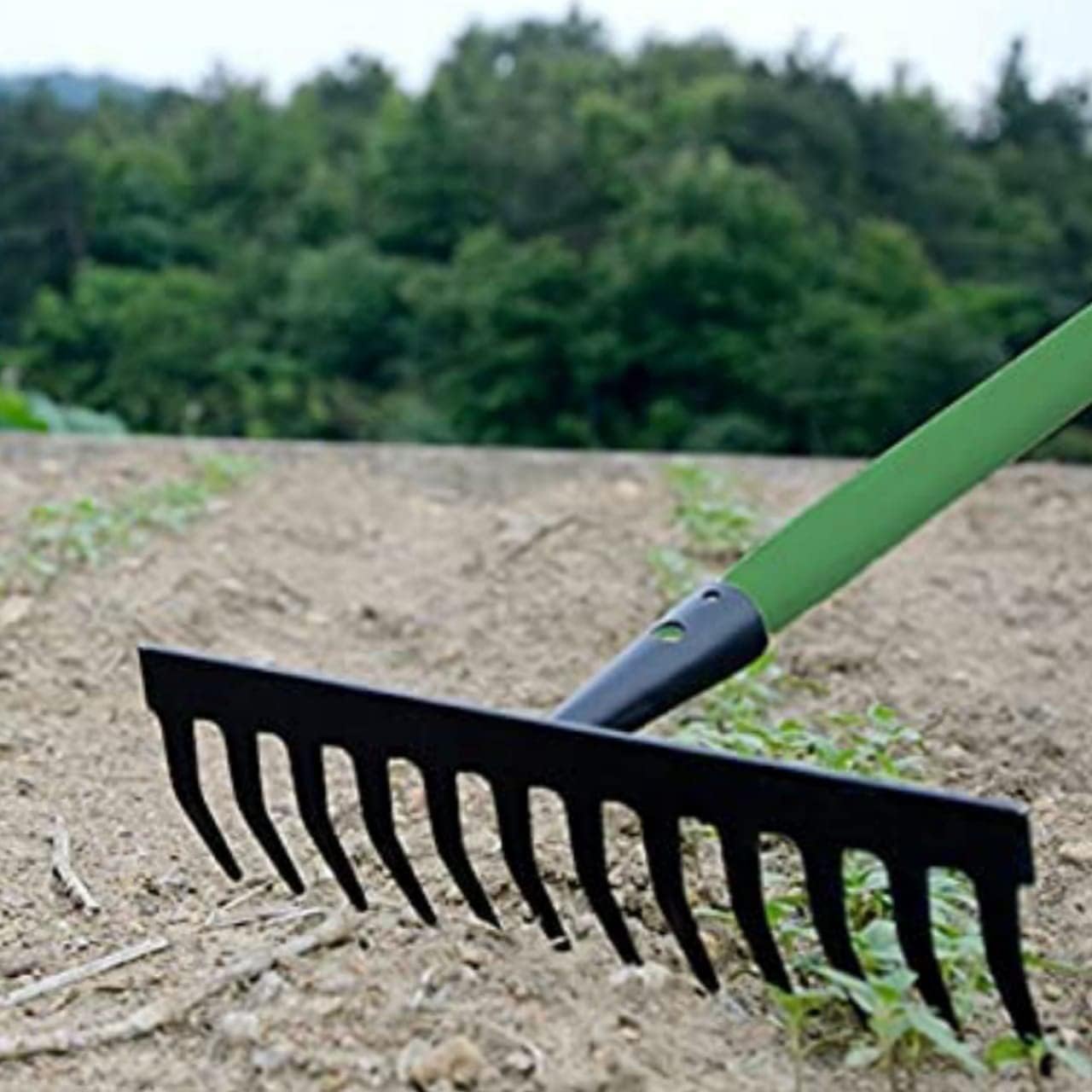 AAMEN 12 Teeth Heavy Duty Garden Rake – Carbon Steel Soil & Leaf Rake for Gardening (120x32x9cm, Black)