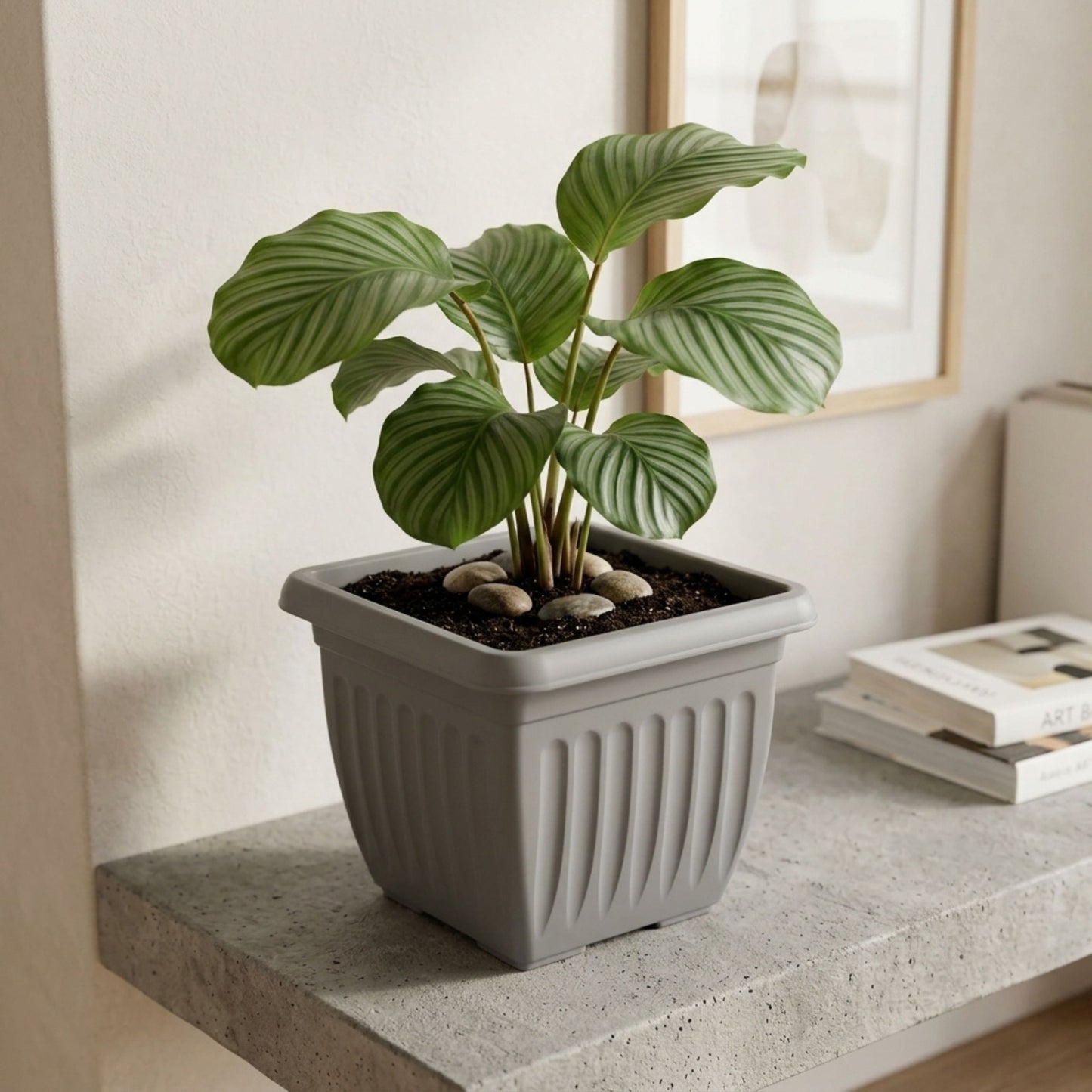 Athens Square Planter 40cm in Grey | Durable Plastic Garden Planter