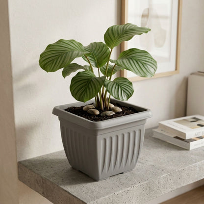 Athens Square Planter 40cm in Grey | Durable Plastic Garden Planter