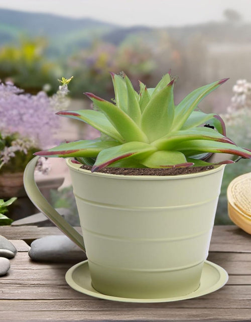 Load image into Gallery viewer, AAMEN Cup &amp; Saucer Planter – Cute and Decorative Ceramic Pot for Tiny Plants, for Plant Lovers and Home Décor Enthusiasts, Air Plants, and Small Flowers
