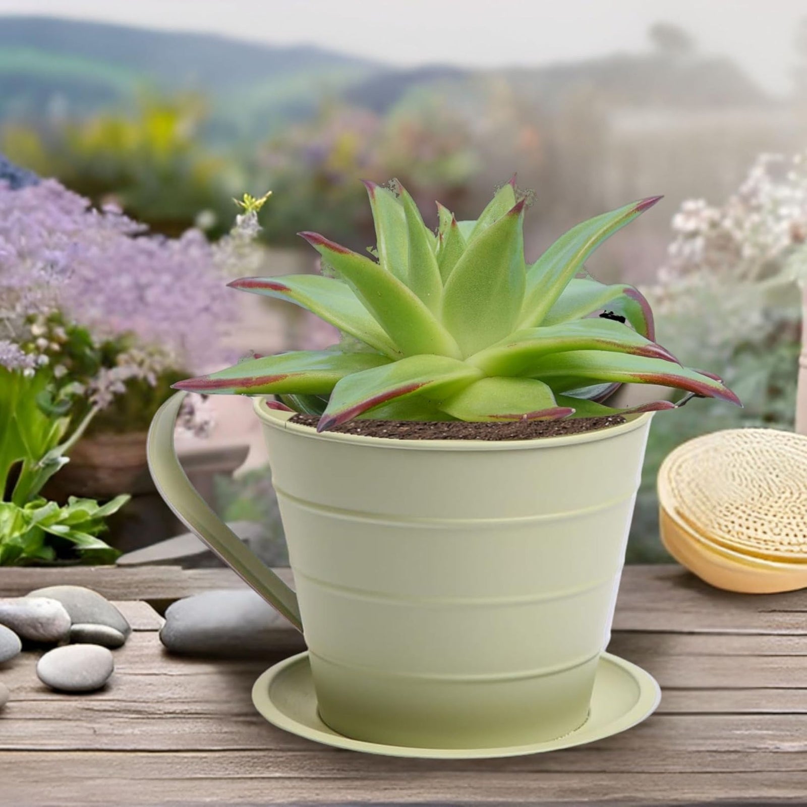 AAMEN Cup & Saucer Planter – Cute and Decorative Ceramic Pot for Tiny Plants, for Plant Lovers and Home Décor Enthusiasts, Air Plants, and Small Flowers
