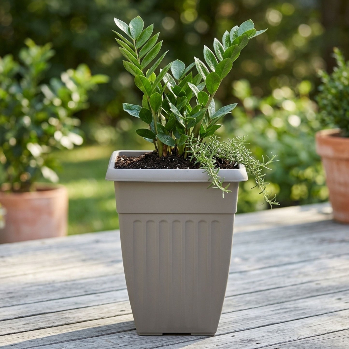Tall Square Athens Planter 42cm Grey | Plastic Outdoor/Indoor Garden Pot