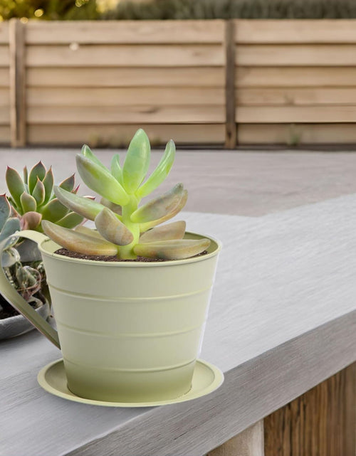 Load image into Gallery viewer, AAMEN Cup &amp; Saucer Planter – Cute and Decorative Ceramic Pot for Tiny Plants, for Plant Lovers and Home Décor Enthusiasts, Air Plants, and Small Flowers
