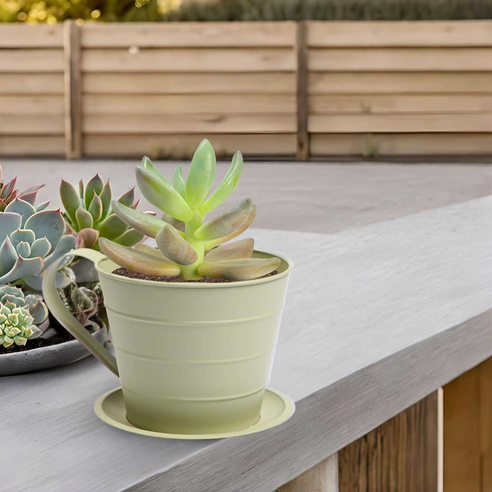 AAMEN Cup & Saucer Planter – Cute and Decorative Ceramic Pot for Tiny Plants, for Plant Lovers and Home Décor Enthusiasts, Air Plants, and Small Flowers