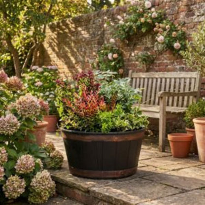 Large Oakwood Barrel Planter – Durable Outdoor & Garden Plant Pot