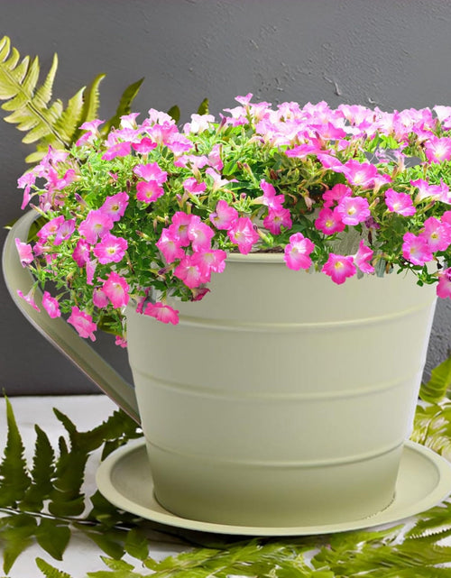 Load image into Gallery viewer, AAMEN Cup &amp; Saucer Planter – Cute and Decorative Ceramic Pot for Tiny Plants, for Plant Lovers and Home Décor Enthusiasts, Air Plants, and Small Flowers
