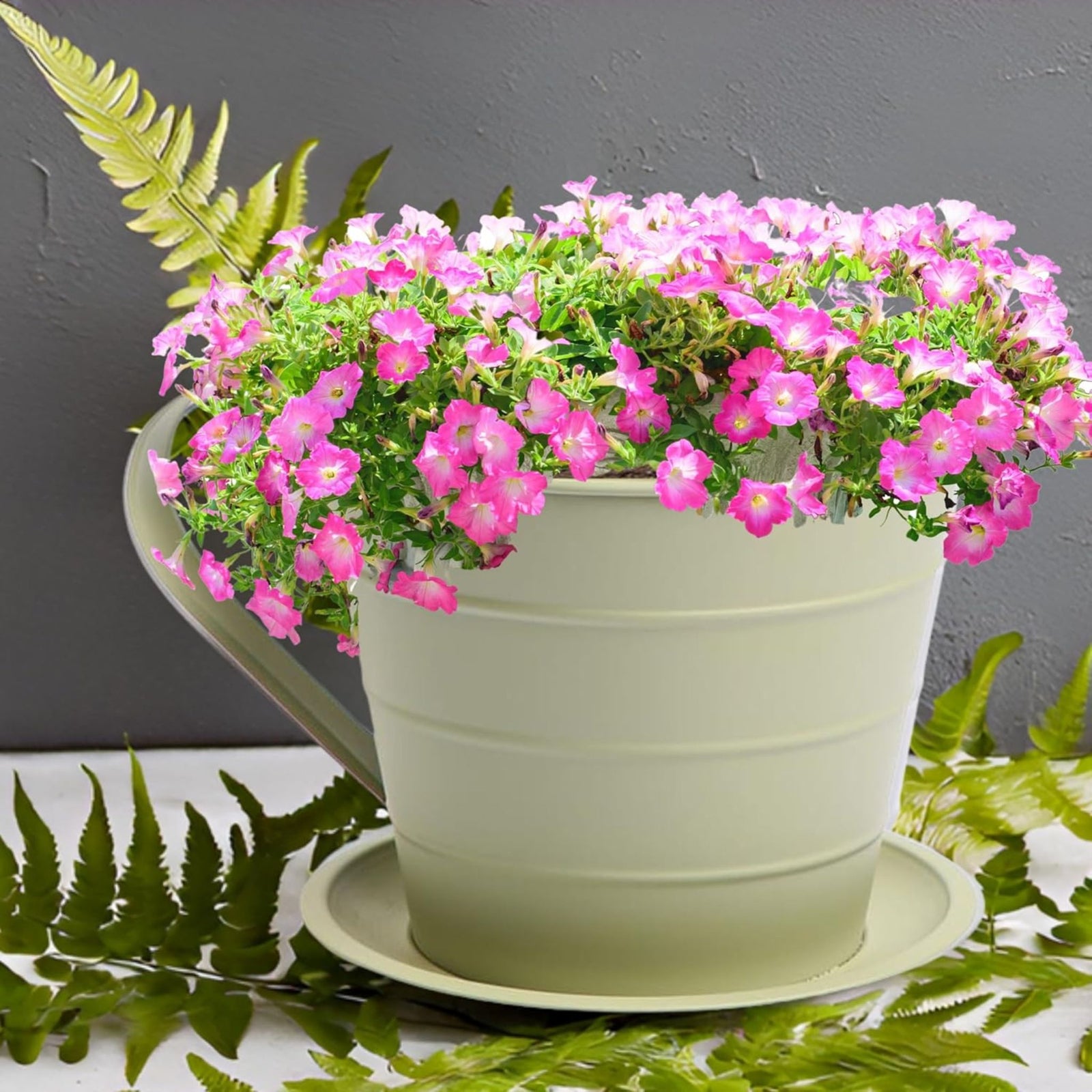 AAMEN Cup & Saucer Planter – Cute and Decorative Ceramic Pot for Tiny Plants, for Plant Lovers and Home Décor Enthusiasts, Air Plants, and Small Flowers