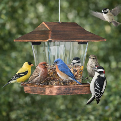 Hanging Bird Feeder for Outdoors, Wild Bird Seed Feeder, Copper Effect, Squirrel Resistant Plastic Wild Bird Seed Feeder for Garden, Yard & Outdoor Decoration