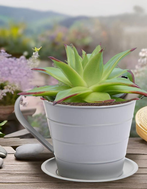Load image into Gallery viewer, AAMEN Cup &amp; Saucer Planter – Cute and Decorative Ceramic Pot for Tiny Plants, for Plant Lovers and Home Décor Enthusiasts, Air Plants, and Small Flowers
