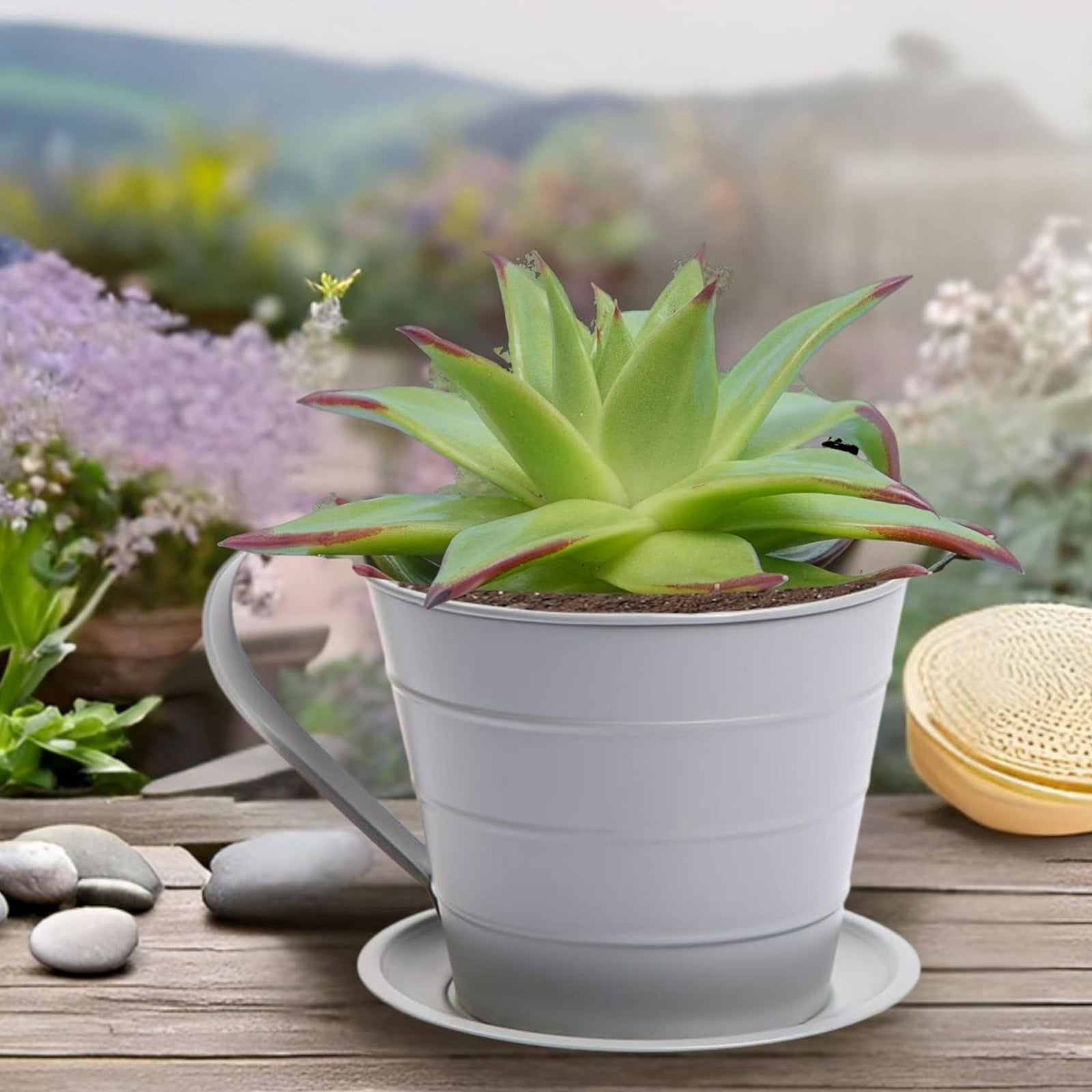 AAMEN Cup & Saucer Planter – Cute and Decorative Ceramic Pot for Tiny Plants, for Plant Lovers and Home Décor Enthusiasts, Air Plants, and Small Flowers
