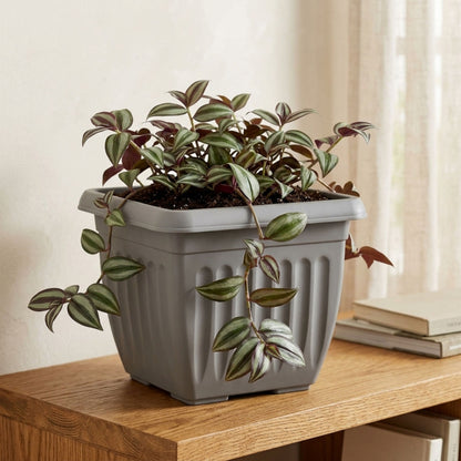 Athens Square Planter 40cm in Grey | Durable Plastic Garden Planter