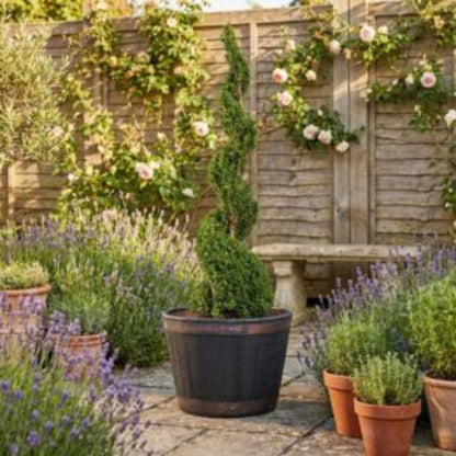 Large Oakwood Barrel Planter – Durable Outdoor & Garden Plant Pot