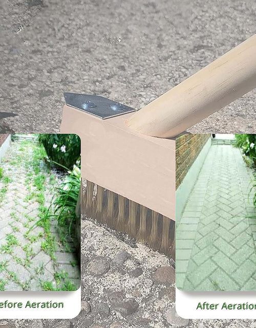 Load image into Gallery viewer, AAMEN Heavy Duty Weed Brush with Long Handle – Outdoor Patio Cleaner &amp; Wire Brush Gardening Tool (120x5x5cm)
