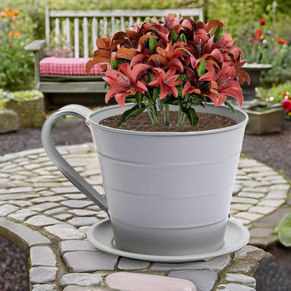 AAMEN Cup & Saucer Planter – Cute and Decorative Ceramic Pot for Tiny Plants, for Plant Lovers and Home Décor Enthusiasts, Air Plants, and Small Flowers