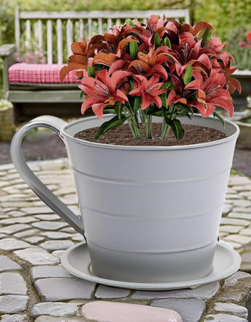 Load image into Gallery viewer, AAMEN Cup &amp; Saucer Planter – Cute and Decorative Ceramic Pot for Tiny Plants, for Plant Lovers and Home Décor Enthusiasts, Air Plants, and Small Flowers
