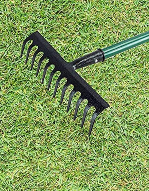 Load image into Gallery viewer, AAMEN 12 Teeth Heavy Duty Garden Rake – Carbon Steel Soil &amp; Leaf Rake for Gardening (120x32x9cm, Black)
