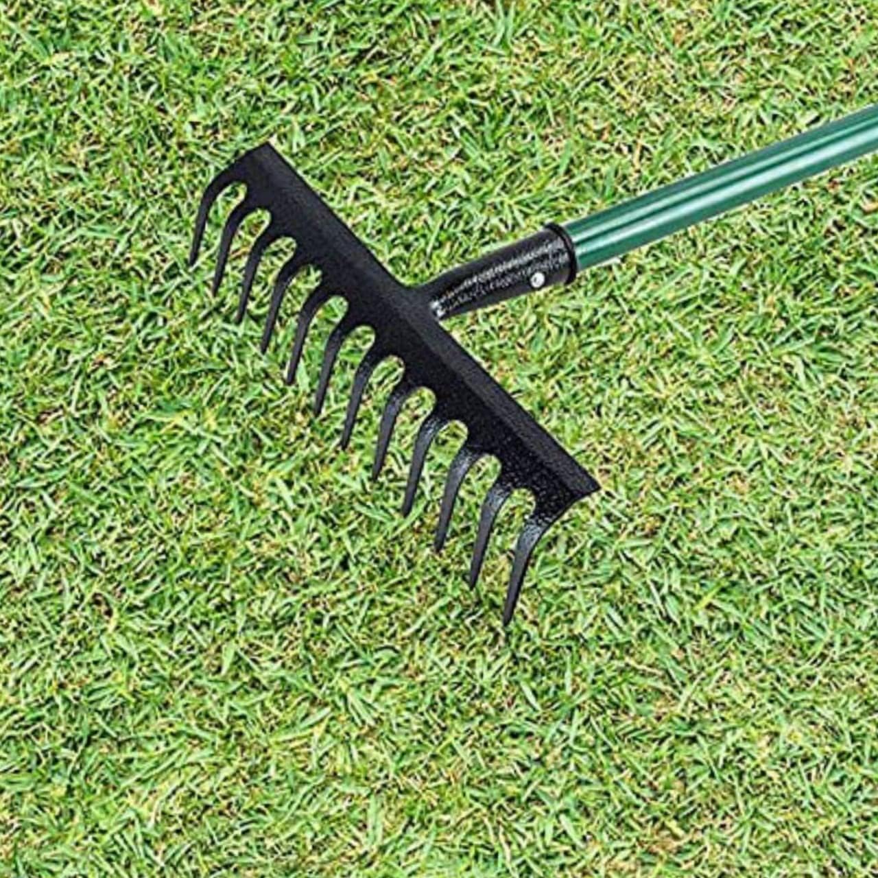 AAMEN 12 Teeth Heavy Duty Garden Rake – Carbon Steel Soil & Leaf Rake for Gardening (120x32x9cm, Black)
