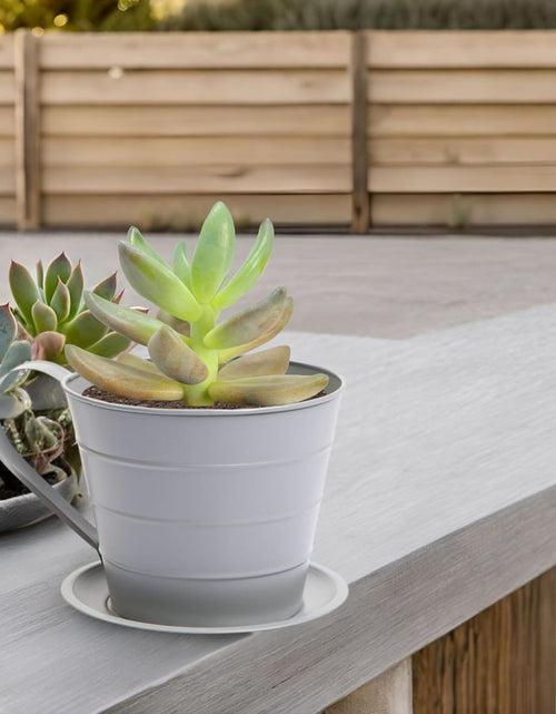 Load image into Gallery viewer, AAMEN Cup &amp; Saucer Planter – Cute and Decorative Ceramic Pot for Tiny Plants, for Plant Lovers and Home Décor Enthusiasts, Air Plants, and Small Flowers
