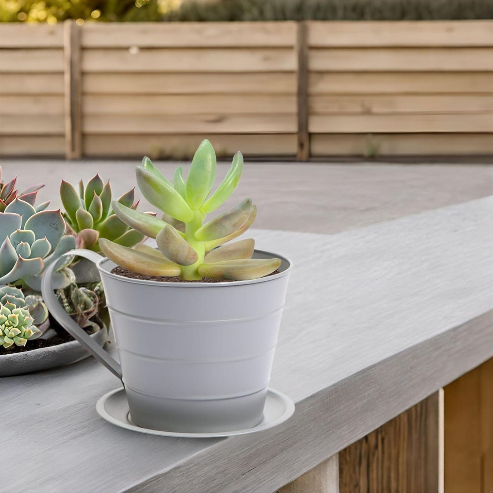 AAMEN Cup & Saucer Planter – Cute and Decorative Ceramic Pot for Tiny Plants, for Plant Lovers and Home Décor Enthusiasts, Air Plants, and Small Flowers