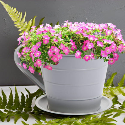 AAMEN Cup & Saucer Planter – Cute and Decorative Ceramic Pot for Tiny Plants, for Plant Lovers and Home Décor Enthusiasts, Air Plants, and Small Flowers