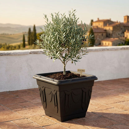 Venetian Square Planter (30cm) Lightweight Garden Pot