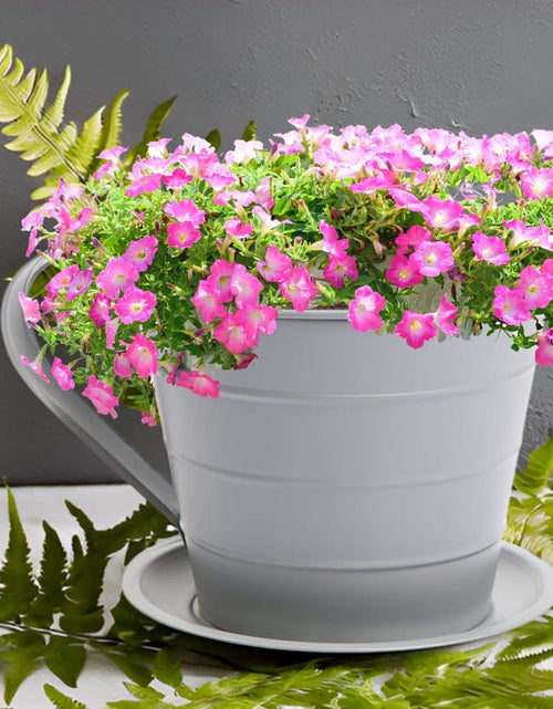 Load image into Gallery viewer, AAMEN Cup &amp; Saucer Planter – Cute and Decorative Ceramic Pot for Tiny Plants, for Plant Lovers and Home Décor Enthusiasts, Air Plants, and Small Flowers
