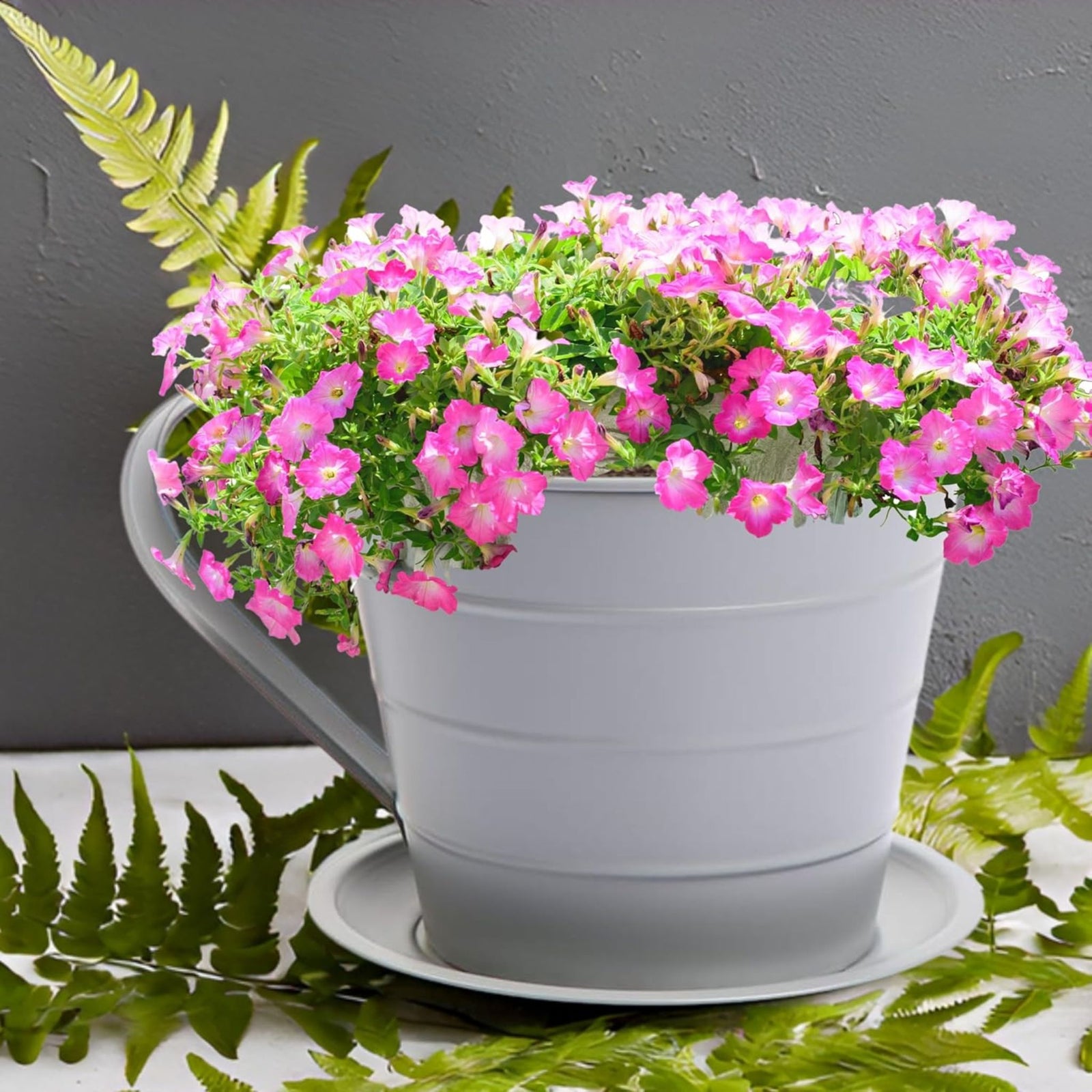 AAMEN Cup & Saucer Planter – Cute and Decorative Ceramic Pot for Tiny Plants, for Plant Lovers and Home Décor Enthusiasts, Air Plants, and Small Flowers